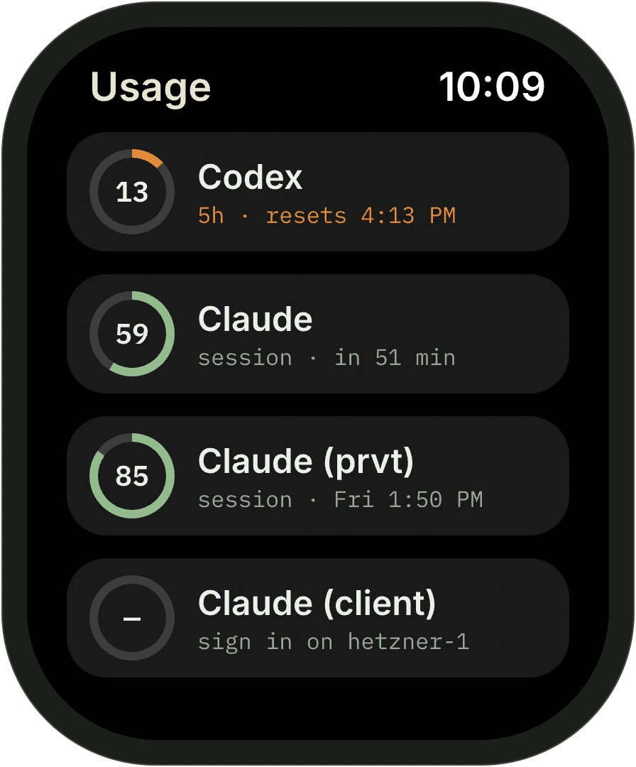 Apple Watch app design preview listing each login with its remaining usage